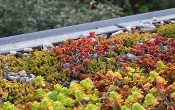 the cost of Care Village green roof installation