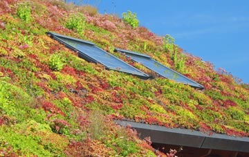 Care Village living roof systems