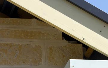 soffit repair Care Village